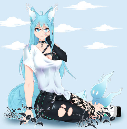 Illustrations